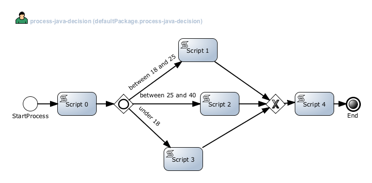 DRL Decision Process